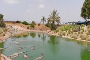 Crocoparc Agadir