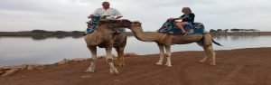 Camel & Horse riding in Agadir