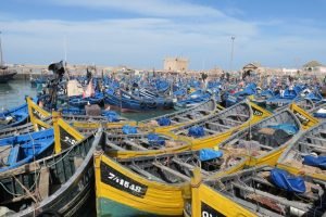 Essaouira Day trip 