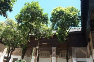 9 Day NorthernCities Tour from Marrakech to Chefchaouen