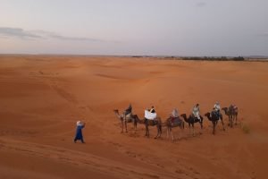 12 Grand Tour & Desert Tour From Fez