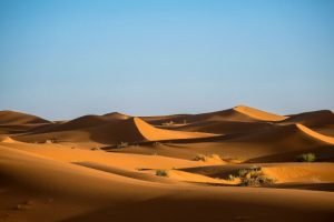2 Day Zagora Desert Tour from Marrakech | Camel Ride